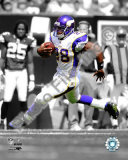 Adrian Peterson Foto