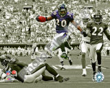 Ed Reed Photo