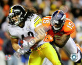 Troy Polamalu Photo