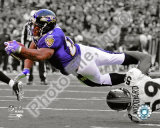 Ray Rice Photographie