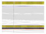 Green Strip Poster von  NaxArt