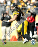 Troy Polamalu Photo