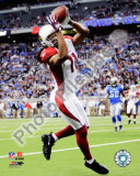 Larry Fitzgerald Foto