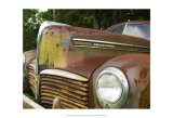 Rusty Hudson II Lámina por Danny Head