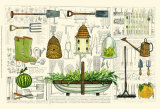 Garden Collection I Prints by Ginny Joyner