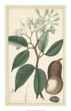 Tropical Infusion I Posters