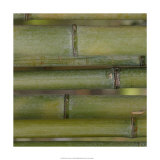 Nature's Textures V Poster