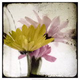 Summer Memory I Lámina por Ingrid Blixt