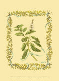Sage Poster by Wendy Russell