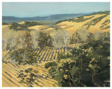 Winter Vineyard Prints by Silvia Rutledge
