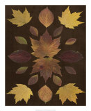 Kaleidoscope Leaves VI Posters
