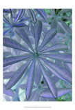 Woodland Plants in Blue I Prints by Sharon Chandler