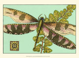 Dragonfly on Aqua IV Affiche
