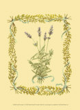 Lavanda Pósters por Wendy Russell Lavanda Pósters por Wendy Russell