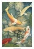 Reflecting Koi II Affiches par Megan Meagher
