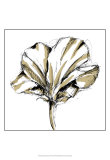 Tulip Sketch IV Posters por Ethan Harper Tulip Sketch IV Posters por Ethan Harper