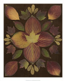 Kaleidoscope Leaves V Prints