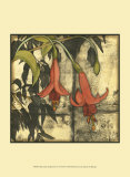 Mini Fuchsia and Silhouette IV Poster par Jennifer Goldberger