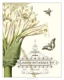 Jardin Botanique II Kunstdrucke