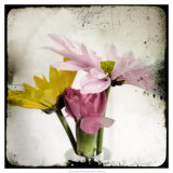 Summer Memory II Posters av Ingrid Blixt