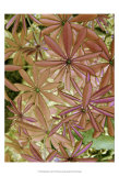 Woodland Plants in Red IV Print by Sharon Chandler