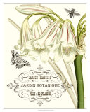 Jardin Botanique I Affiches