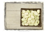 Basket of Beans Print by Meghan McSweeney