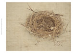 Nesting I Posters by Meghan McSweeney