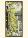 Leaf Medley II Posters by Jennifer Goldberger Leaf Medley II Posters by Jennifer Goldberger