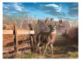 Back Forty Buck Affiches par Kevin Daniel