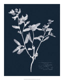 Impressions on Indigo III Arte