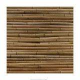 Nature's Textures IV Posters