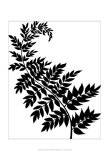 Leaf Silhouette III Prints by Chariklia Zarris