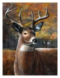 Deer Head II Affiches par Kevin Daniel