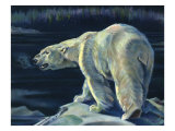 Polar Bear, 1940 Giclee-trykk av Paul Bransom