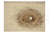 Nesting III Posters by Meghan McSweeney