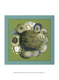 Celadon Bouquet I Posters by Chariklia Zarris