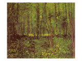Trees and Undergrowth, 1887 reproduction procédé giclée par Vincent van Gogh