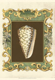 Mermaid's Shells VI Prints by Chariklia Zarris