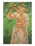 Picking an Apple, 1893 Giclee Print by Mary Cassatt