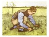 Cutting Grass with Sickle, 1881 Giclee Print by Vincent van Gogh