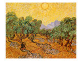 Sun over Olive Grove, 1889 Giclée-Druck von Vincent van Gogh