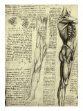 Da Vinci's Man Machine reproduction procédé giclée par  Leonardo da Vinci