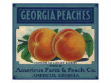 Georgia Peaches Giclee Print