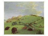 Buffalo Chase, Mouth of the Yellowstone, 1833 Lámina giclée por George Catlin