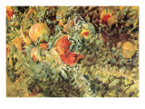 Pomegranates, 1908 Giclee Print by John Singer Sargent
