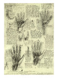 Functions of Human Hand reproduction procédé giclée par  Leonardo da Vinci