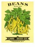 Beans Seed Packet Giclee Print