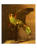 Green Parrot on Perch, 1886 Giclee Print by Vincent van Gogh
