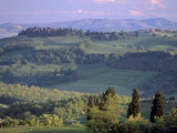 Landscape of the Crete Senesi Area, Southeast of Siena, Near Asciano, Tuscany, Italy, Europe Photographic Print by Patrick Dieudonne